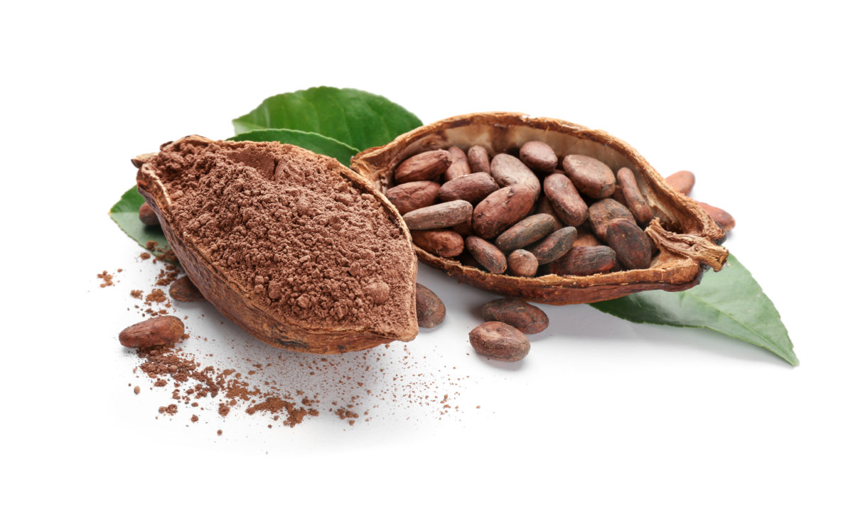 Cacao – SYFAB