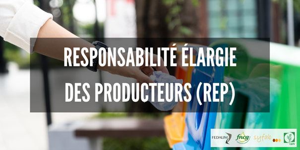 Responsabilité élargie des producteurs